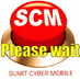 SCM Digital Seva - TrustPilot Review of Hostingial Hosting
